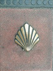 brass shells imbedded on the sidewalks early in the trek: by skipper1949, Views[218]