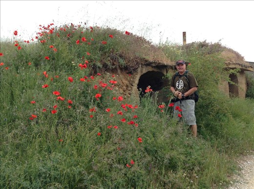 hillside house surrounded by poppies you see along the way @ least so far