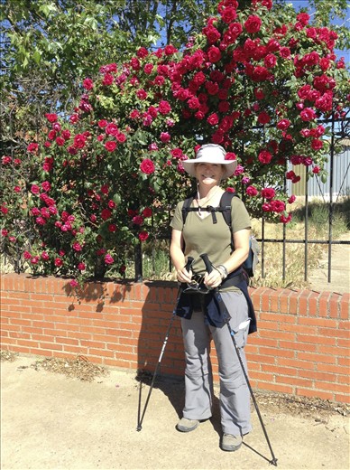 my 2 roses.. Cindy and the flowers