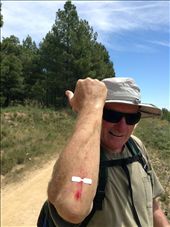 my hiking pole tripped me: by skipper1949, Views[678]