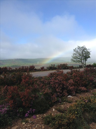 a nice rainbow on a chilly day