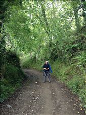 sample of the very nice shaded section of the Camino trail: by skipper1949, Views[215]