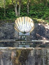 Camino sea shell at a water stop: by skipper1949, Views[761]
