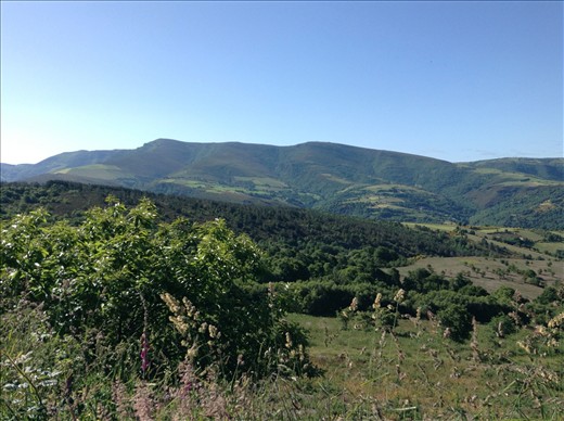 lovely vista this morning