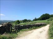 nice vista on 