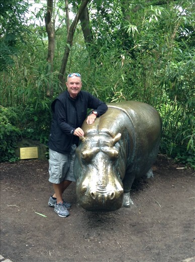 with the brass hippo