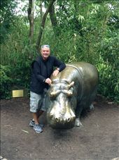 with the brass hippo: by skipper1949, Views[221]