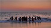 Women on Alapuzha Beach hold hands and wade together into the warm water of the Arabian Sea. They wear their saris to swim.: by skydiva74, Views[1407]