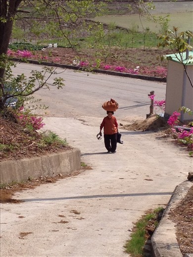 Medusa into the Mountain.  A grandma gathers her cuttings in a bundle and crowns it to her head while she wears her rubber boots in her left hand and her sun visor in her right hand as she balances her way up the incline. Enervated from the scorching heat, she verbalizes the weariness she feels which is ironic of the energetic voice emerging in full force from the core of her diaphragm so that one could hear even meters away. Retirement is a word that rolls down the mountains and glides through the valleys without resting on any of the toiling bodies ripened by laboring the land.  (Namwon, South Korea)
