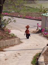 Medusa into the Mountain.  A grandma gathers her cuttings in a bundle and crowns it to her head while she wears her rubber boots in her left hand and her sun visor in her right hand as she balances her way up the incline. Enervated from the scorching heat, she verbalizes the weariness she feels which is ironic of the energetic voice emerging in full force from the core of her diaphragm so that one could hear even meters away. Retirement is a word that rolls down the mountains and glides through the valleys without resting on any of the toiling bodies ripened by laboring the land.  (Namwon, South Korea)
: by skyladyluck, Views[529]