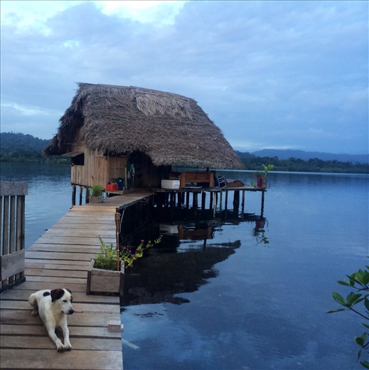 My home in Bocas del Toro, with Capitan keeping watch.