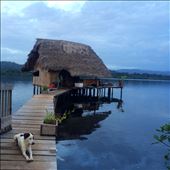My home in Bocas del Toro, with Capitan keeping watch.: by skyleejane, Views[762]