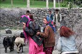 5/5 Many of the interactions I had in the area, and the ones that left the strongest impressions, were full of laughter and surprise. Maybe even a touch of joy? Every village we walked through, friendly waves and ringing laughter ran both ways down the path we walked.: by slioy19, Views[246]