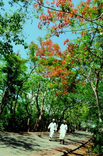 two man who the religious authorities walked together to pray at uluwatu temple. Pura Uluwatu be one of the interesting and unique temple because in addition to being a place of prayer or public worship, also known as monkey temple where there is a forest in the area east is therefore commonly found wild naughty monkey. monkeys that live among the trees and flamboyant flower that characterize the gate of Uluwatu temple.
