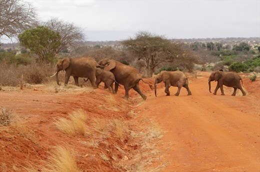 Fire: maximum energy of the cycle, where everything is at its highest. LIFE