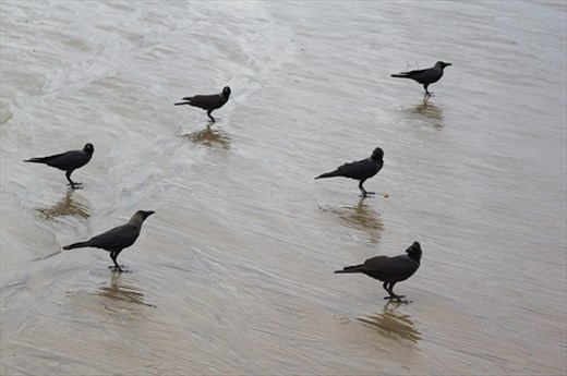 Water: It is a downward energy, to a point of maximum tranquility. DEATH