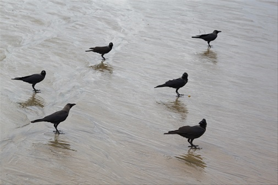 Water: It is a downward energy, to a point of maximum tranquility. DEATH