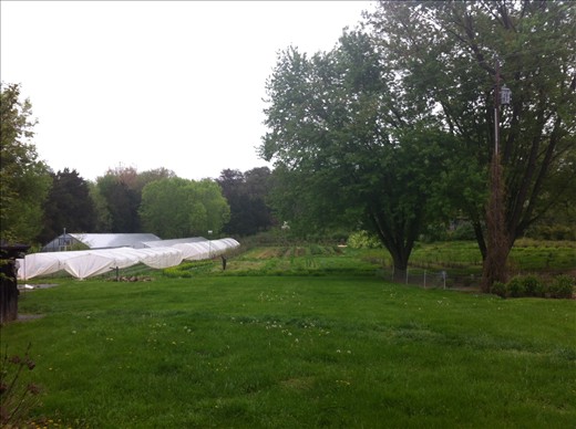 The view from the back of the farm house