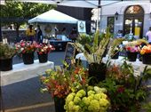 Our stall at the DuPont Circle Farmers Market in Washington DC each Sunday: by smchapman03, Views[436]