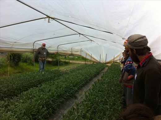 Intern exchange visit - 30 Interns from neighbouring farms visited Wollam gardens to learn about flower farming
