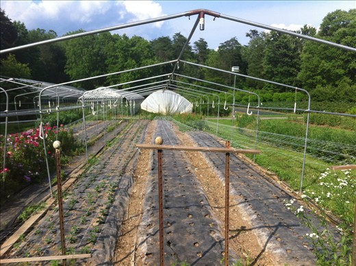 Hoop house