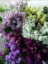 Stock - all time favourite!: by smchapman03, Views[202]