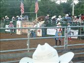 Crazy bull!: by smchapman03, Views[207]