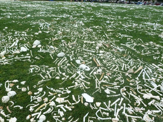 Million Bones Project raising awareness of genocide