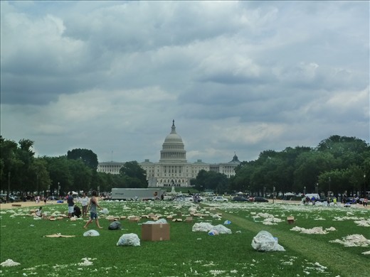 Million Bones Project Clean up