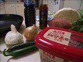 Some of the ingredients for Dakgalbi: by smcwilliam, Views[466]