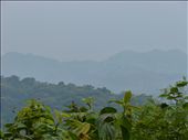 Bwindi Impenetrable Forest: by smhnash, Views[212]
