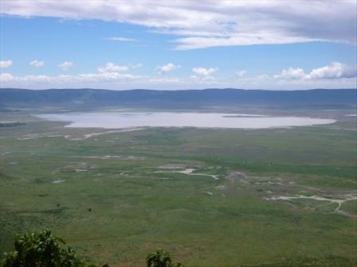 Ngorogoro 