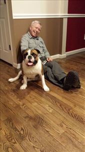 Thor, who lives in New York with his humans Bill and Mindy.: by smithtravel, Views[482]