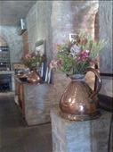 Flowers at Findlayson winery: by smithtravel, Views[244]