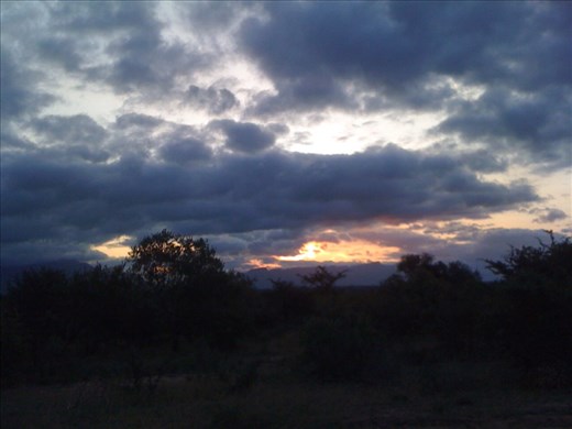 Just one of the beautiful sunsets while we were out on our evening safari drive.