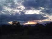 Just one of the beautiful sunsets while we were out on our evening safari drive.: by smithtravel, Views[174]