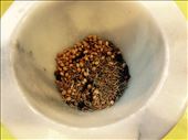 Garam Masala spices: by smokedeggplant, Views[239]