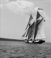 Sail Away: by snapshotphoto, Views[241]