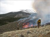 Controlled burn in Colorado - 2013. : by sneaver, Views[565]