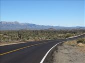 HWY 1 - El Rosario to Bahia de los Angeles.: by sneaver, Views[574]