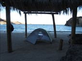 Standard palapa structure.: by sneaver, Views[658]