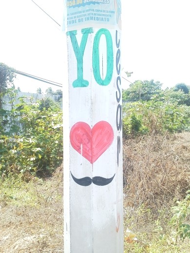 These were plastered telephone poles and other surfaces in a five mile stretch heading out of Acapulco towards Marquelia.