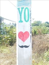 These were plastered telephone poles and other surfaces in a five mile stretch heading out of Acapulco towards Marquelia.: by sneaver, Views[546]