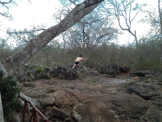 Mat taking photos of iguanas in his skivvies