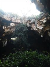 by sneaver, Views[417]