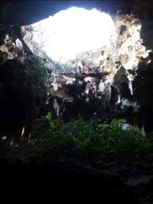 by sneaver, Views[406]