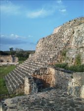 by sneaver, Views[315]