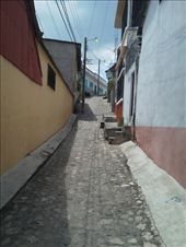 by sneaver, Views[602]