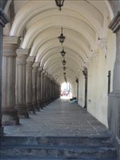 by sneaver, Views[384]