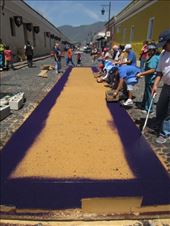 by sneaver, Views[343]